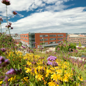 Application process for Fall Semester 2020 is open