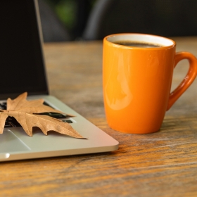 Fall Break and Public Holiday October 24 – 28, 2019